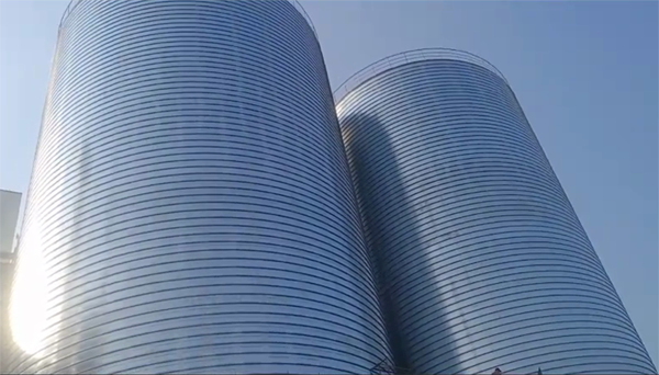 沭阳2座混凝土高架卷板仓